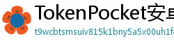 TokenPocket安卓下载